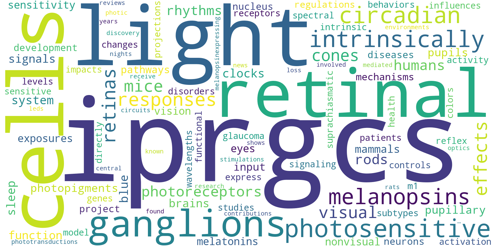 Word cloud showing key concepts from melanopic lighting research